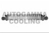 AUTOGAMMA 103736 Intercooler, charger